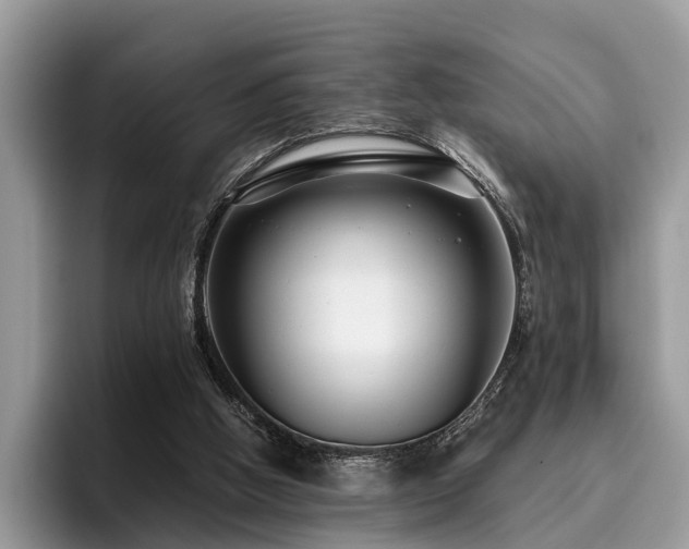 X0000096210058200801181438