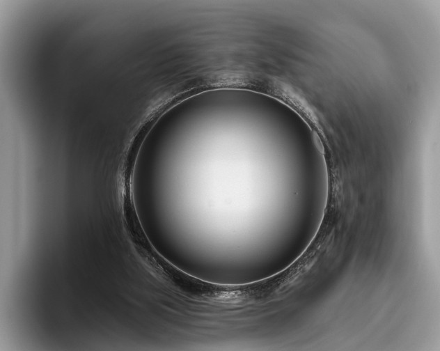 X0000096210059200801181438