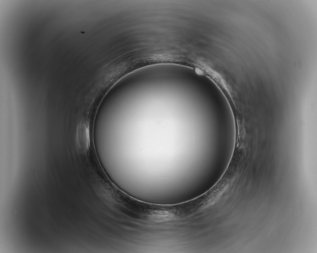 X0000096210061200801181438