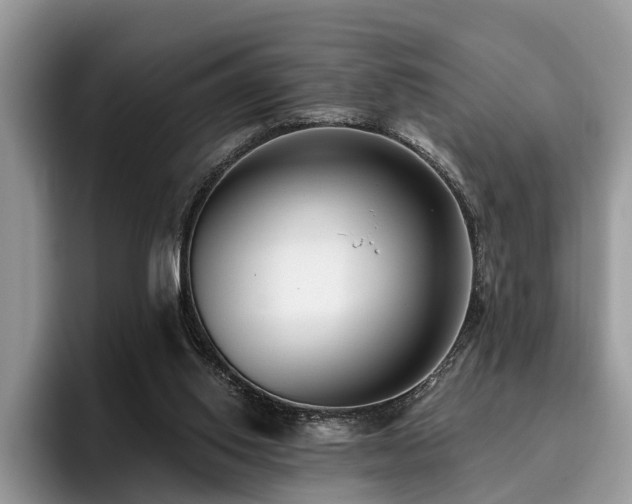 X0000096210062200801181438