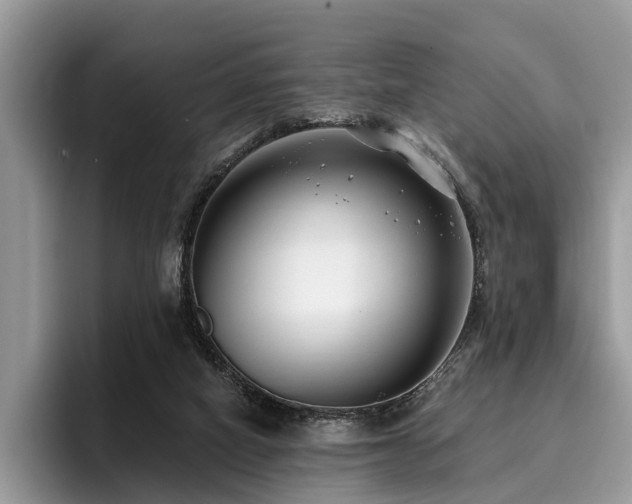 X0000096210066200801181438