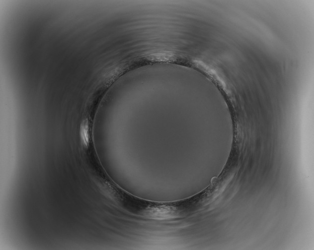 X0000096210069200801181439