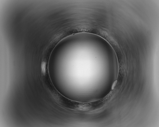 X0000096210070200801181439