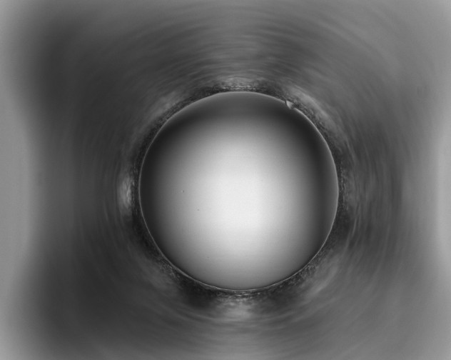 X0000096210071200801181439