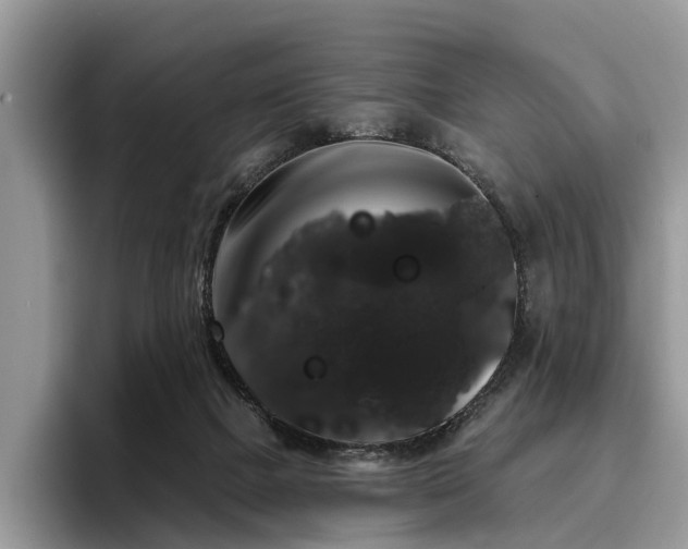 X0000096210073200801181439