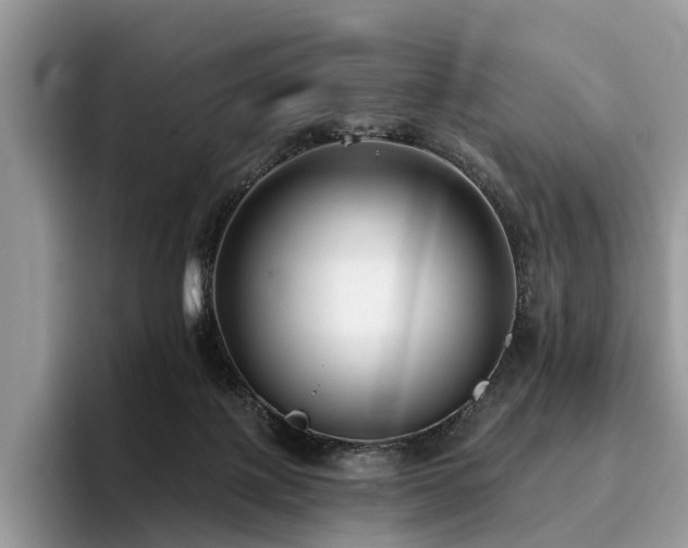 X0000096210075200801181439