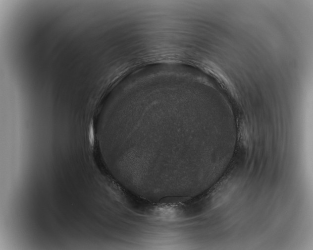 X0000096210076200801181439