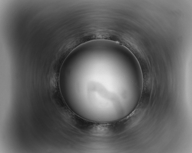 X0000096210078200801181439