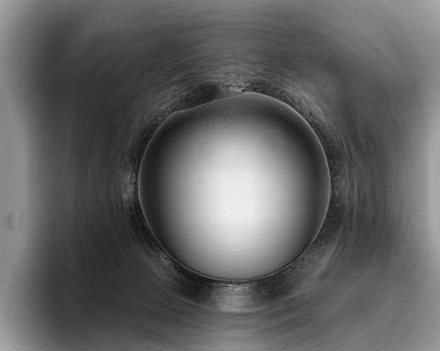 X0000096210081200801181439