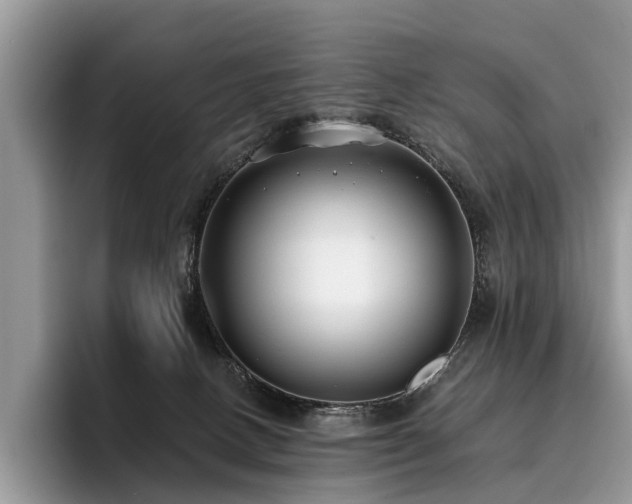 X0000096210082200801181439