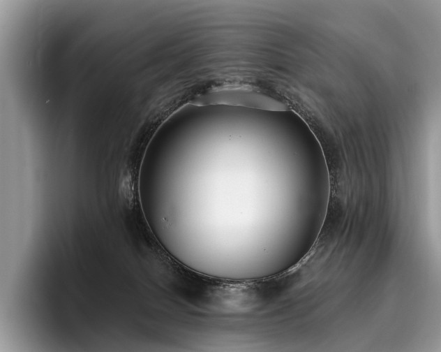 X0000096210086200801181439