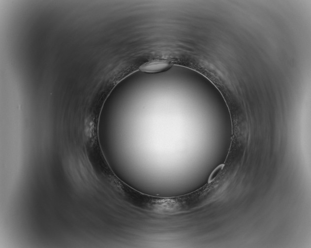 X0000096210087200801181439