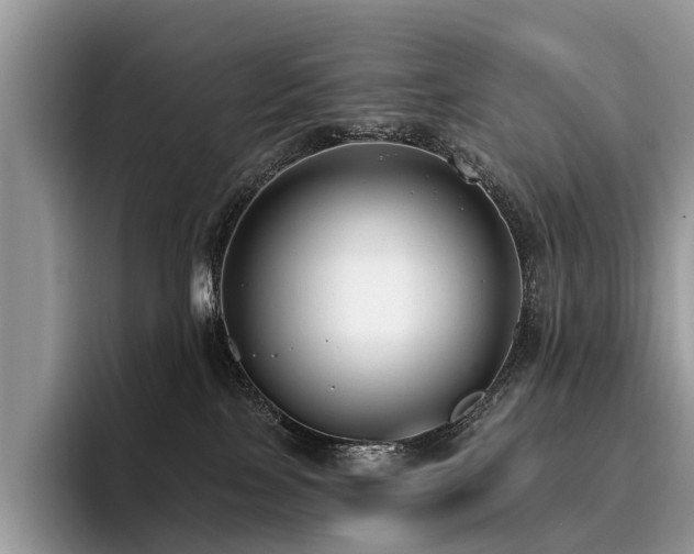 X0000096210089200801181439