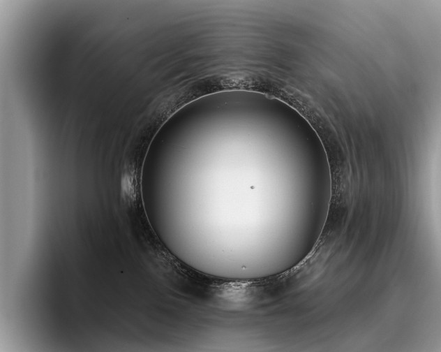 X0000096210090200801181439