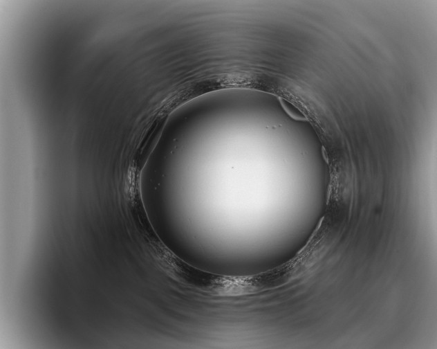 X0000096210093200801181439