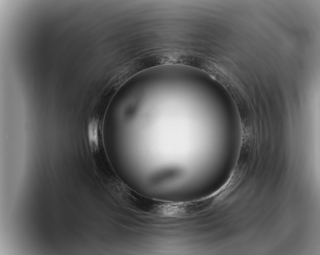 X0000096210094200801181439