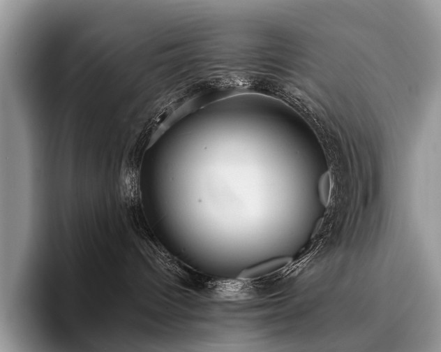 X0000096210096200801181439