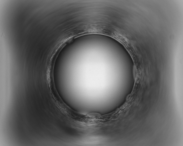 X0000096210098200801181438