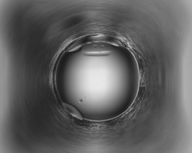 X0000096210099200801181438