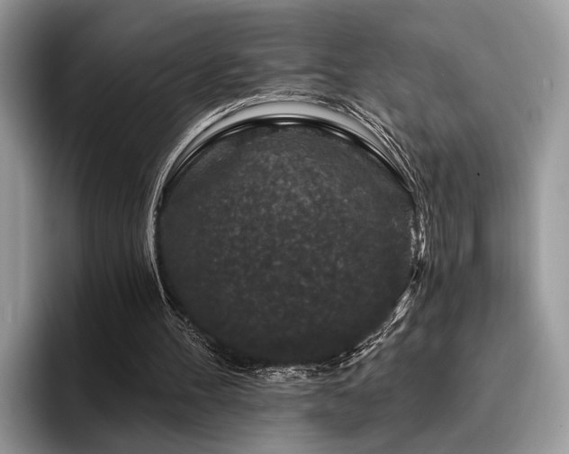 X0000096210100200801181438