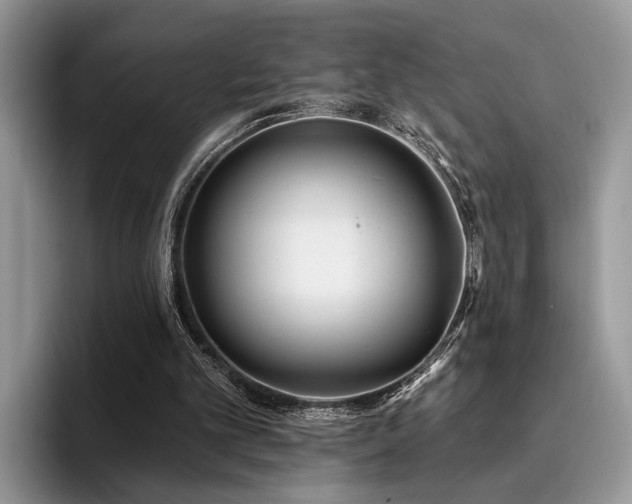 X0000096210101200801181438