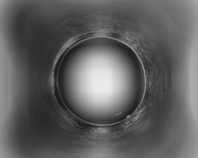 X0000096210102200801181438