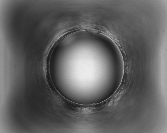 X0000096210103200801181438