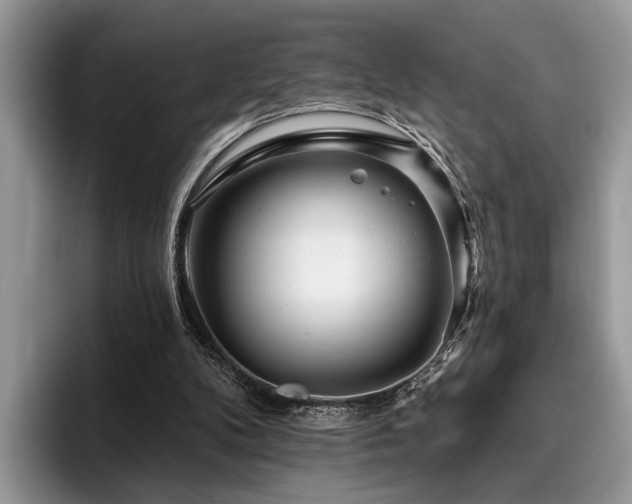 X0000096210104200801181438