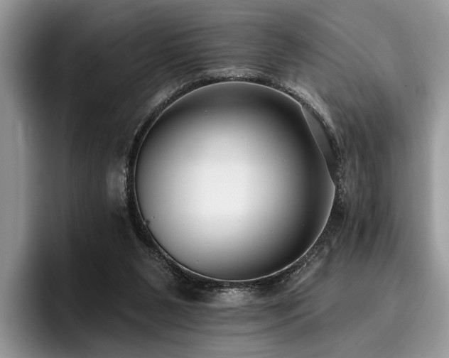 X0000096210111200801181438