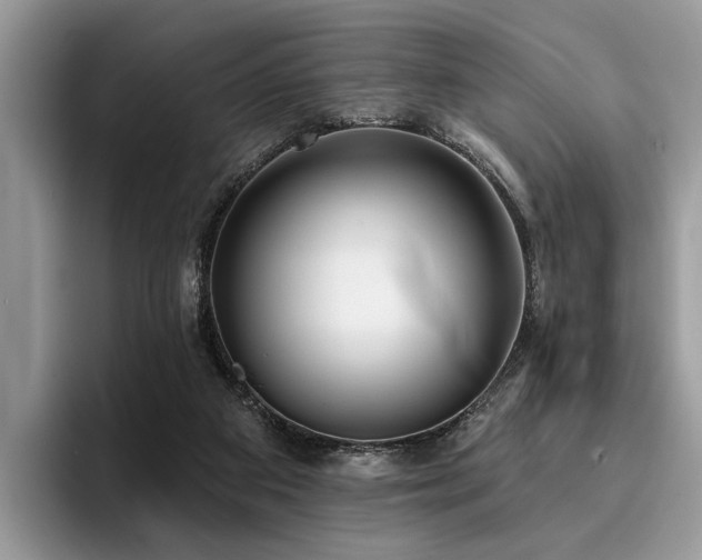 X0000096210113200801181438