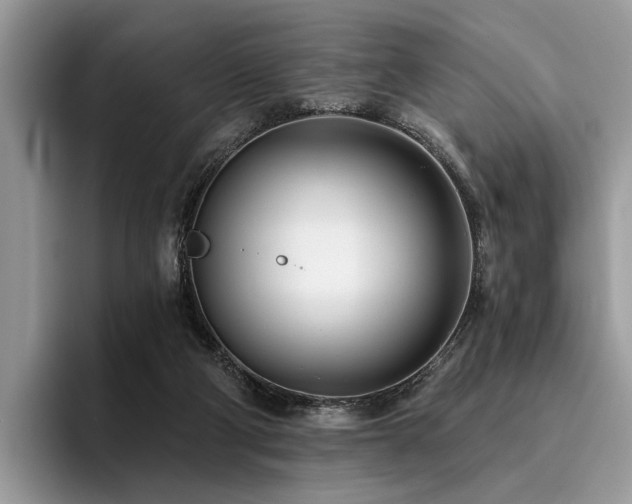 X0000096210114200801181438