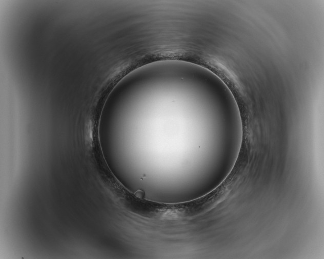 X0000096210115200801181438