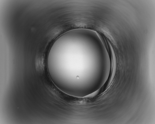 X0000096210116200801181438