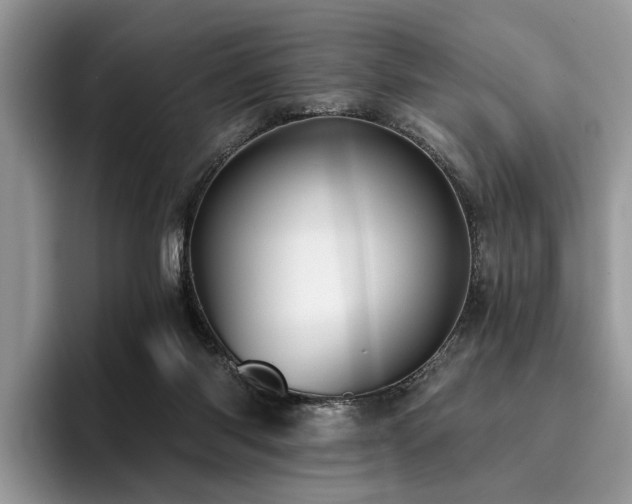 X0000096210118200801181438