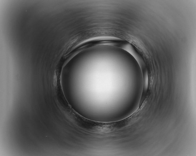 X0000096210120200801181438