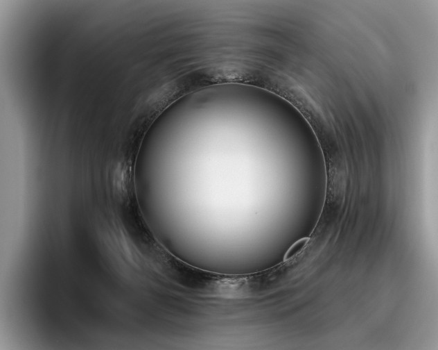 X0000096210126200801181438