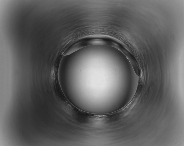 X0000096210128200801181438