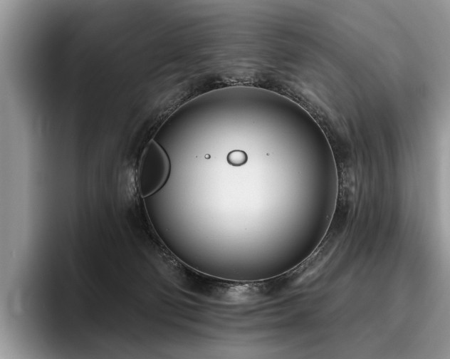 X0000096210130200801181438