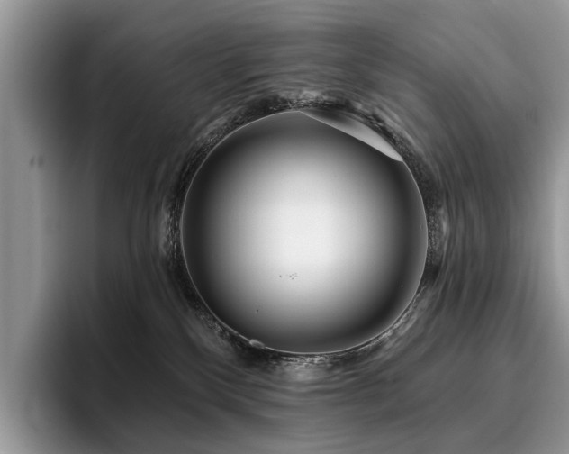X0000096210136200801181438