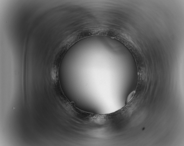X0000096210138200801181438