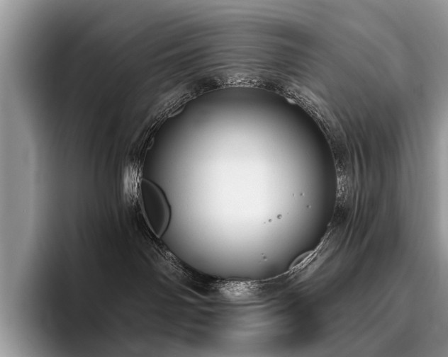 X0000096210142200801181438