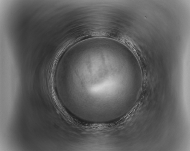 X0000096210145200801181437