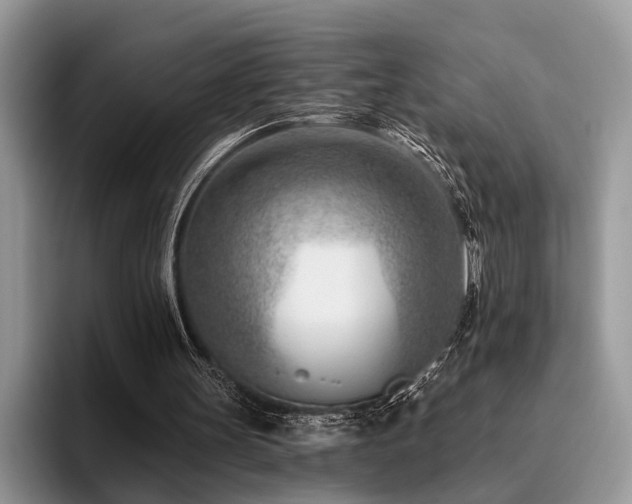X0000096210147200801181437