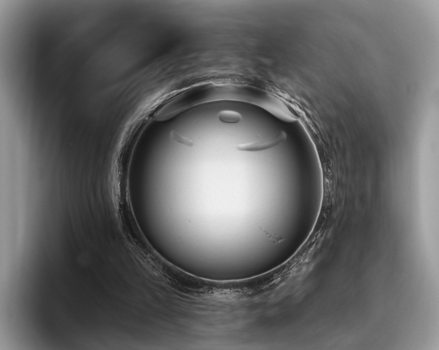 X0000096210149200801181437
