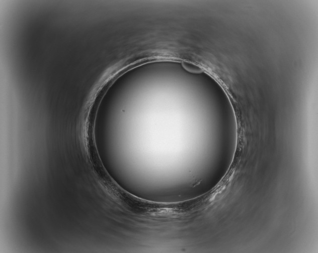 X0000096210151200801181437