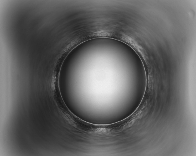 X0000096210153200801181437