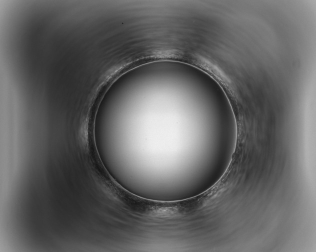X0000096210155200801181437