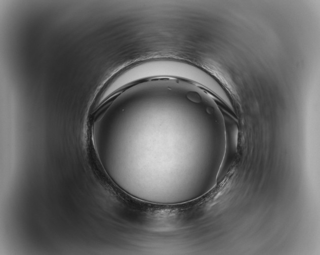X0000096210156200801181437