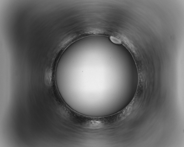 X0000096210159200801181437
