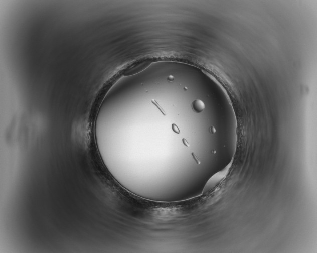 X0000096210160200801181437